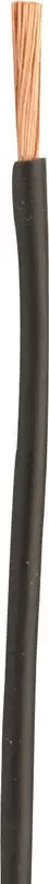 Coleman Cable 100 ft. 10 Gauge Stranded Primary Wire Black Electrical Use